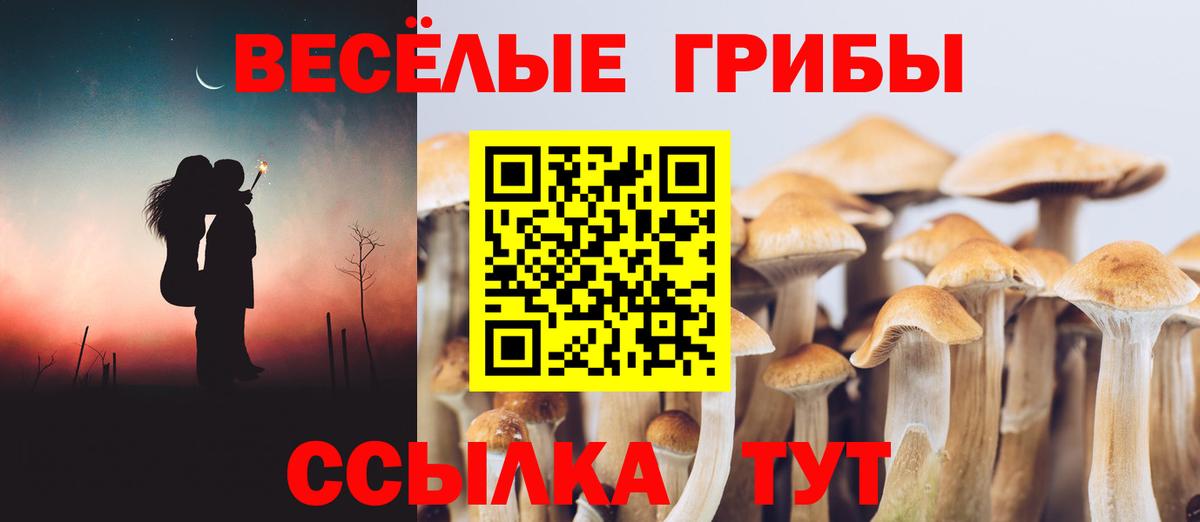 Галлюциногенные грибы прущие грибы Прохладный